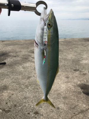 スーパーライト面白いっ!