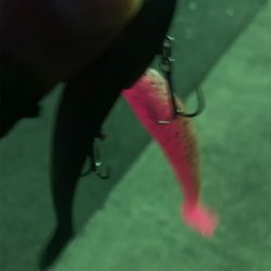 カンパリさんありがとうございます。