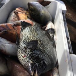 ファミリーフィッシング