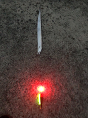 今週もタチウオへ