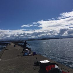 カゴ釣り、サビキ釣り