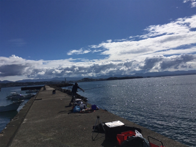 カゴ釣り、サビキ釣り