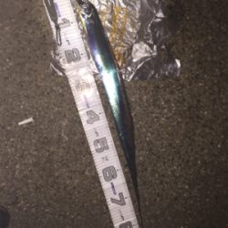 シブいですが、アタリはあり