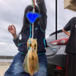 ワタリガニ諦め朝からサイトエギング