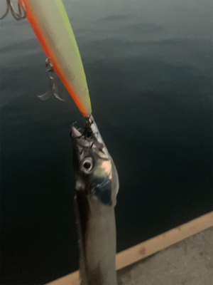 潮悪く、太刀の細君