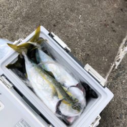 ショアジギング