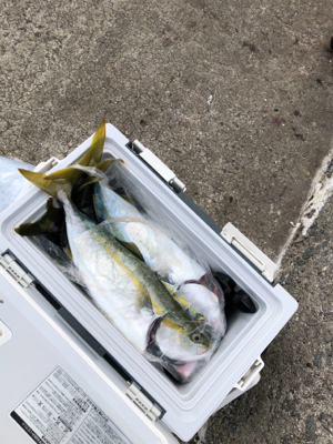 ショアジギング