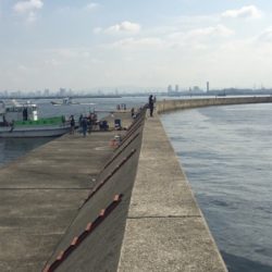 ライトショアジギング