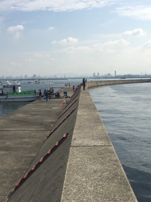 ライトショアジギング