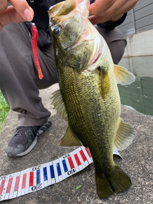 人もバスもいい季節！！