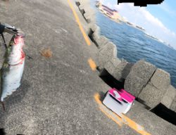 昼からのショアジギング