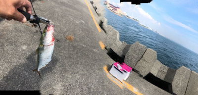 昼からのショアジギング