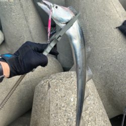 朝のショアジギング