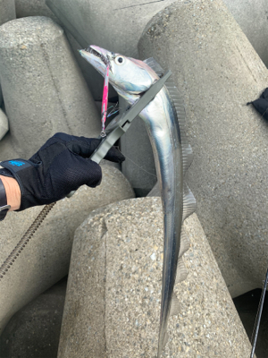 朝のショアジギング