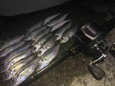 アジングアジングアジング♬