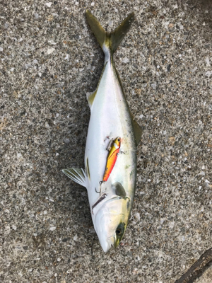 仕事帰りに一本！