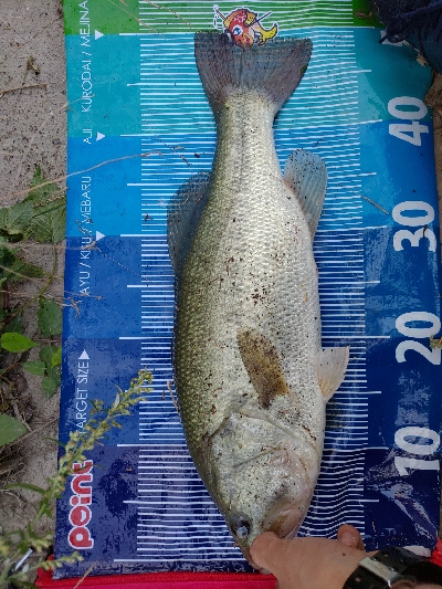 カバー周りはひたすら攻める