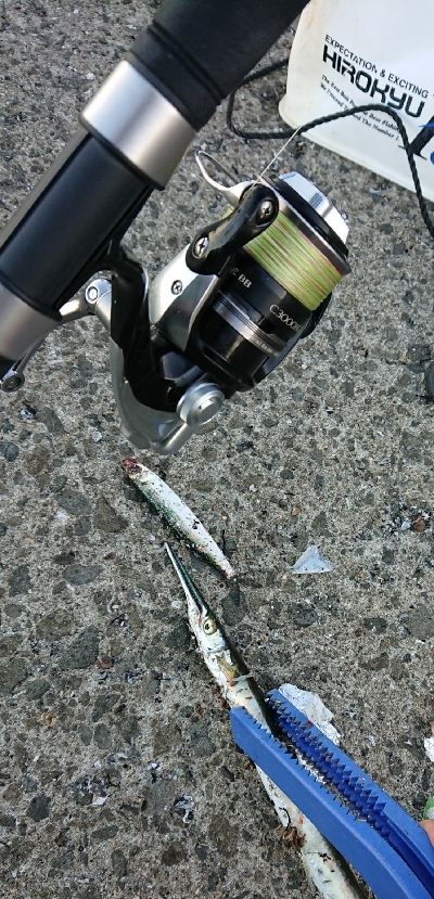 追うものと追われるもの