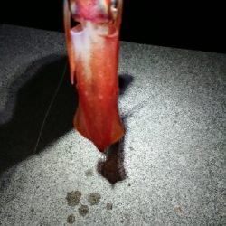 皆さんは知ってる？