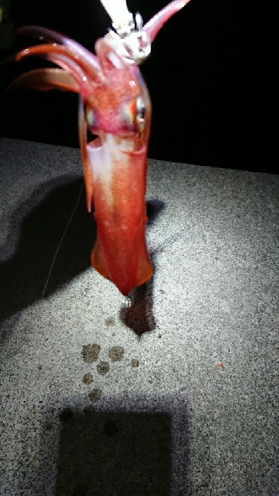 皆さんは知ってる？