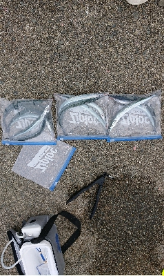 初サヨリチャレンジ