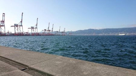 ポーアイ沖タチウオ