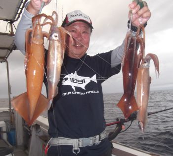 スルメイカ釣り