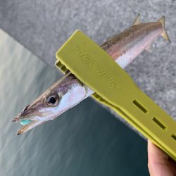 気軽にライトゲーム