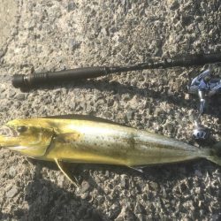 ペンペン・マルアジ