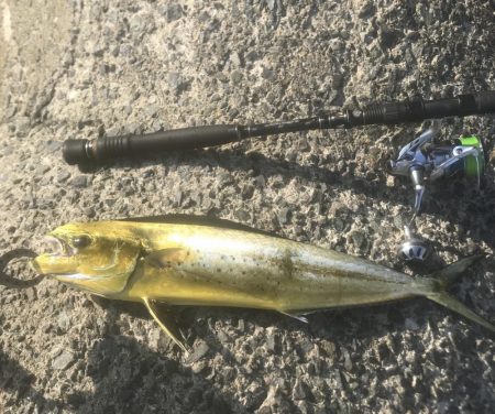 ペンペン・マルアジ