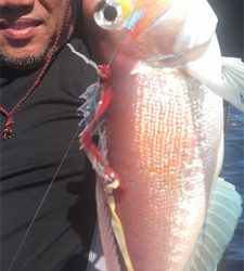 マイボートでアマダイ狙い