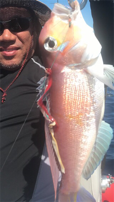 マイボートでアマダイ狙い