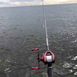 青物狙いからシーバスへ