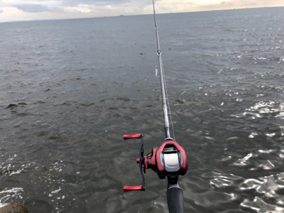 青物狙いからシーバスへ