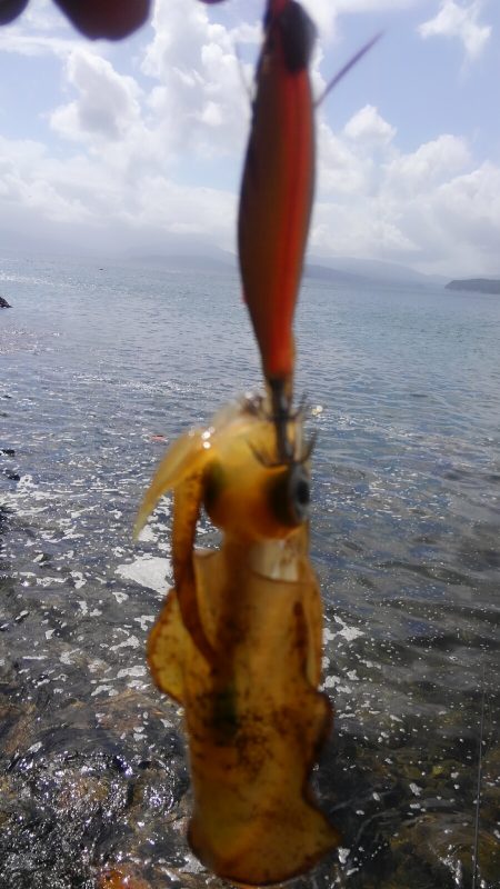 3連休後　墨跡、激増