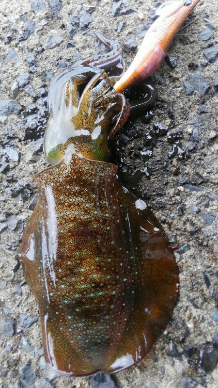 やっと、100g アップしたのに？