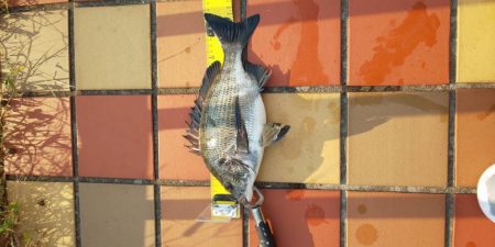 場所移動成功！！