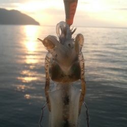 エギ王VS餌木蔵