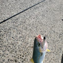 スーパーライトショアジギングで!