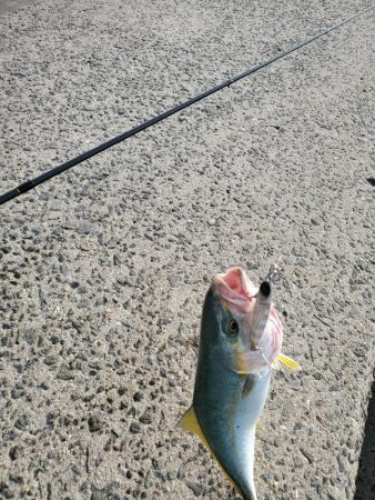スーパーライトショアジギングで!