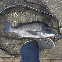 自己新記録‼️