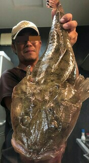 ﾏｺﾞﾁ・ｻｺﾞｼ