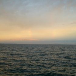 初ハマチGetです♪