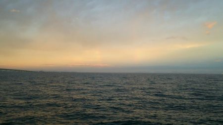 初ハマチGetです♪