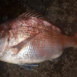 2日連続の夜釣り!!