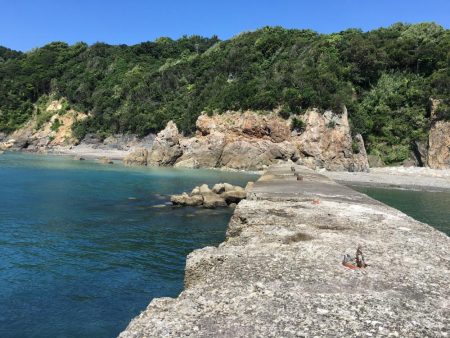 ブリが釣れ始めてます!ほとんどメジロサイズかな?