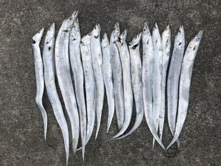 台風前に沖堤防