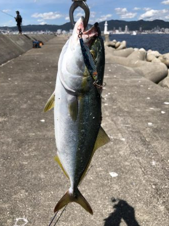 和田坊新波止にて青物