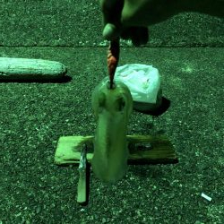 モンハンのつもりなんだが。