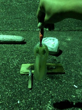 モンハンのつもりなんだが。